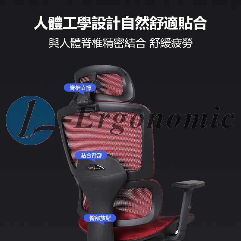 人體工學坐椅,人體工學網椅2310121214
