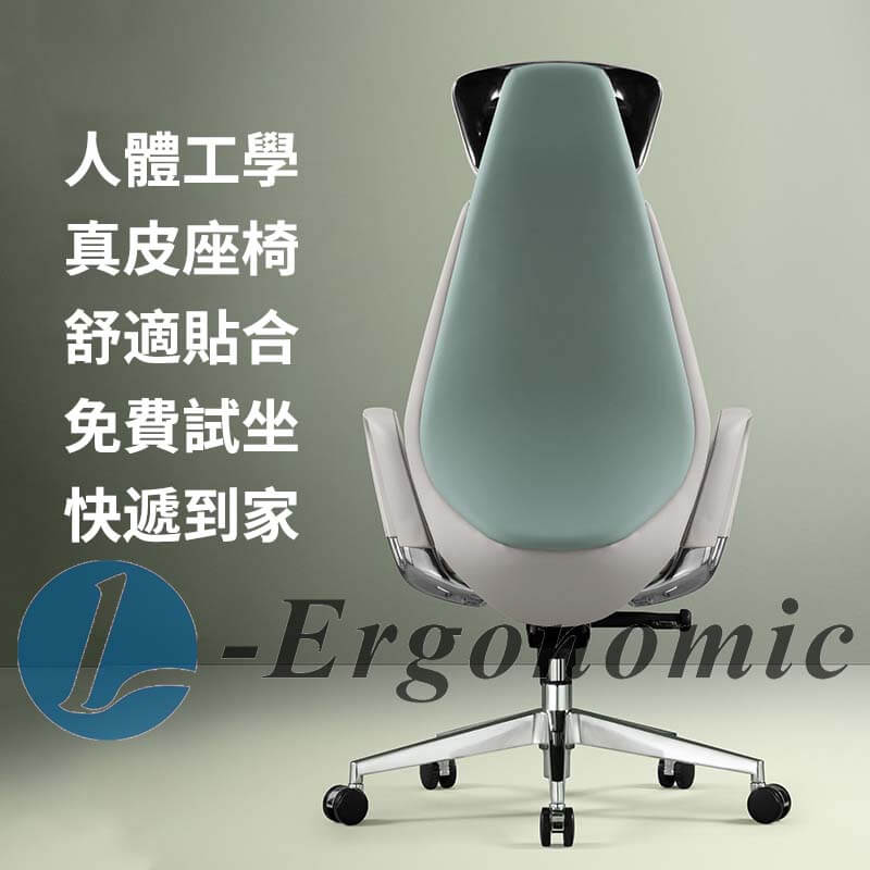人體工學電腦椅，人體工學椅子 -111