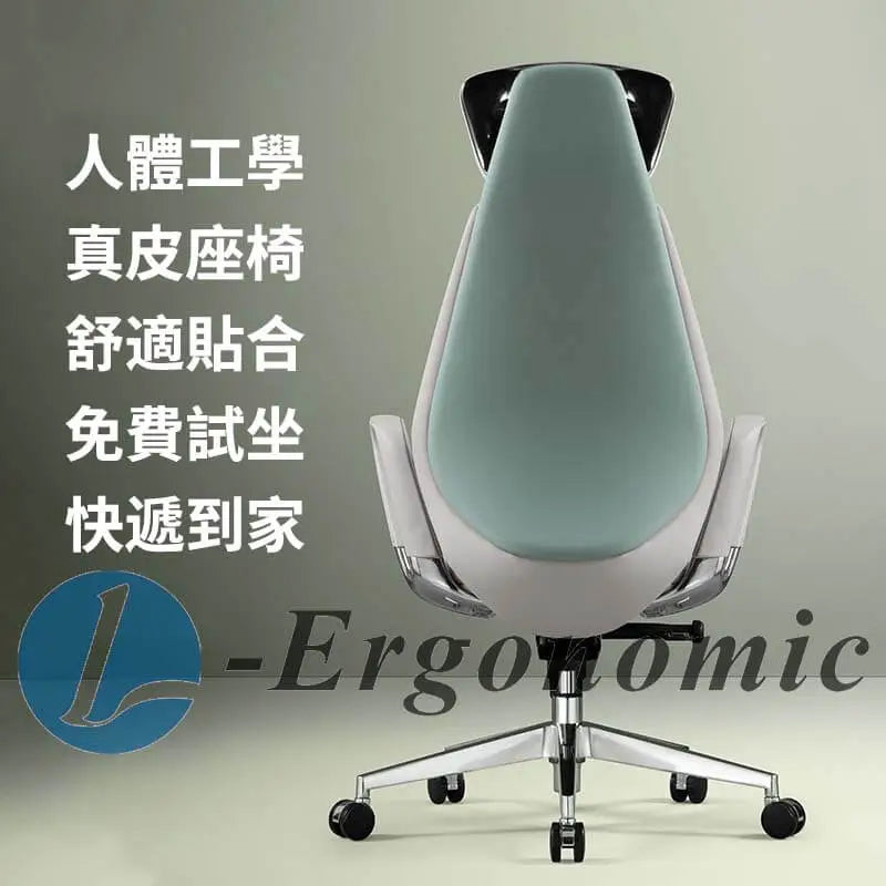 人體工學椅，人體工學椅推薦 -240204020