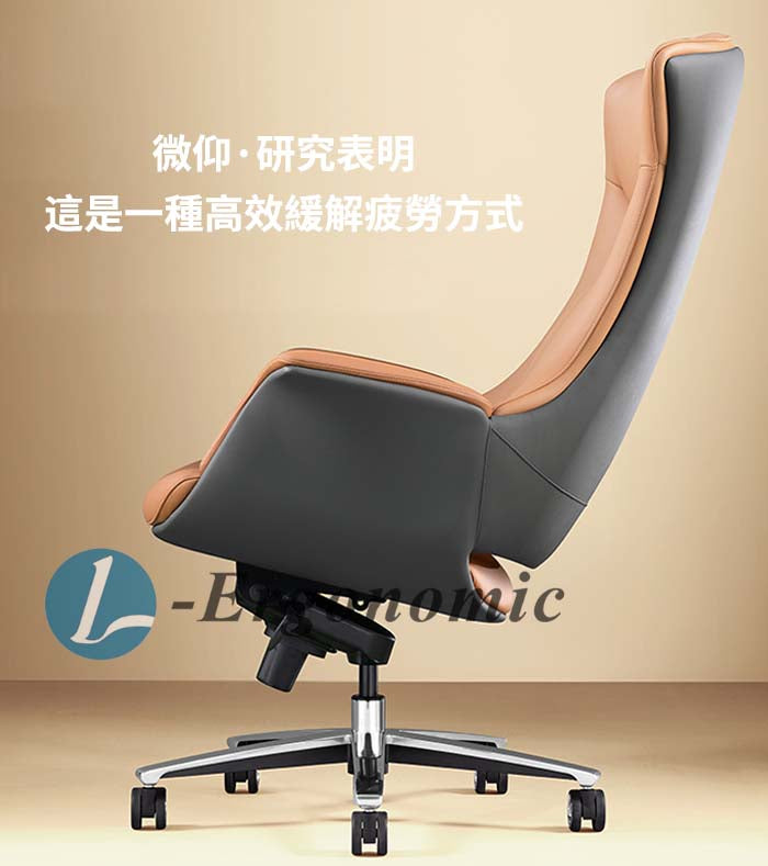 人體工學坐椅，人體工學網椅 2310110228