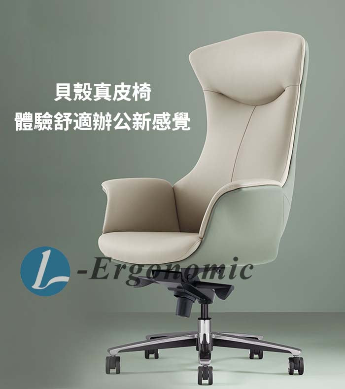 人體工學電腦椅，人體工學椅子 231011210
