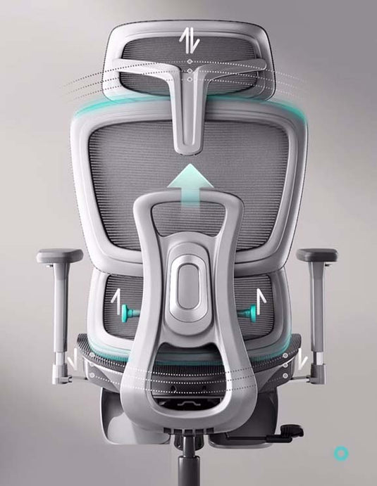 【 L-Ergonomic 】探索人體工學座椅與網椅的設計革