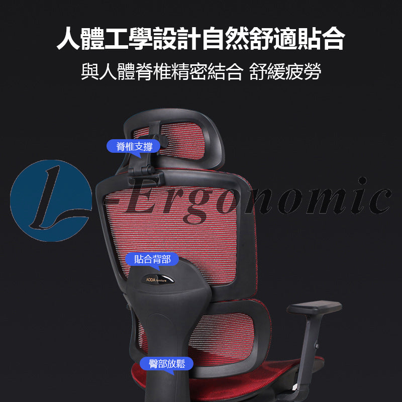 人體工學電腦椅，人體工學椅子202310121203